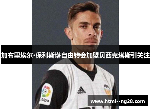 加布里埃尔·保利斯塔自由转会加盟贝西克塔斯引关注