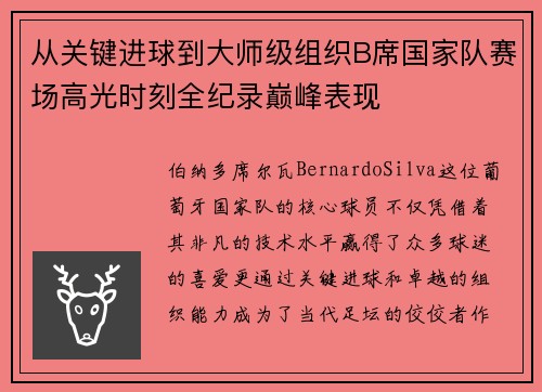 从关键进球到大师级组织B席国家队赛场高光时刻全纪录巅峰表现 从关键进球到大师级组织B席国家队赛场高光时刻全纪录巅峰表现